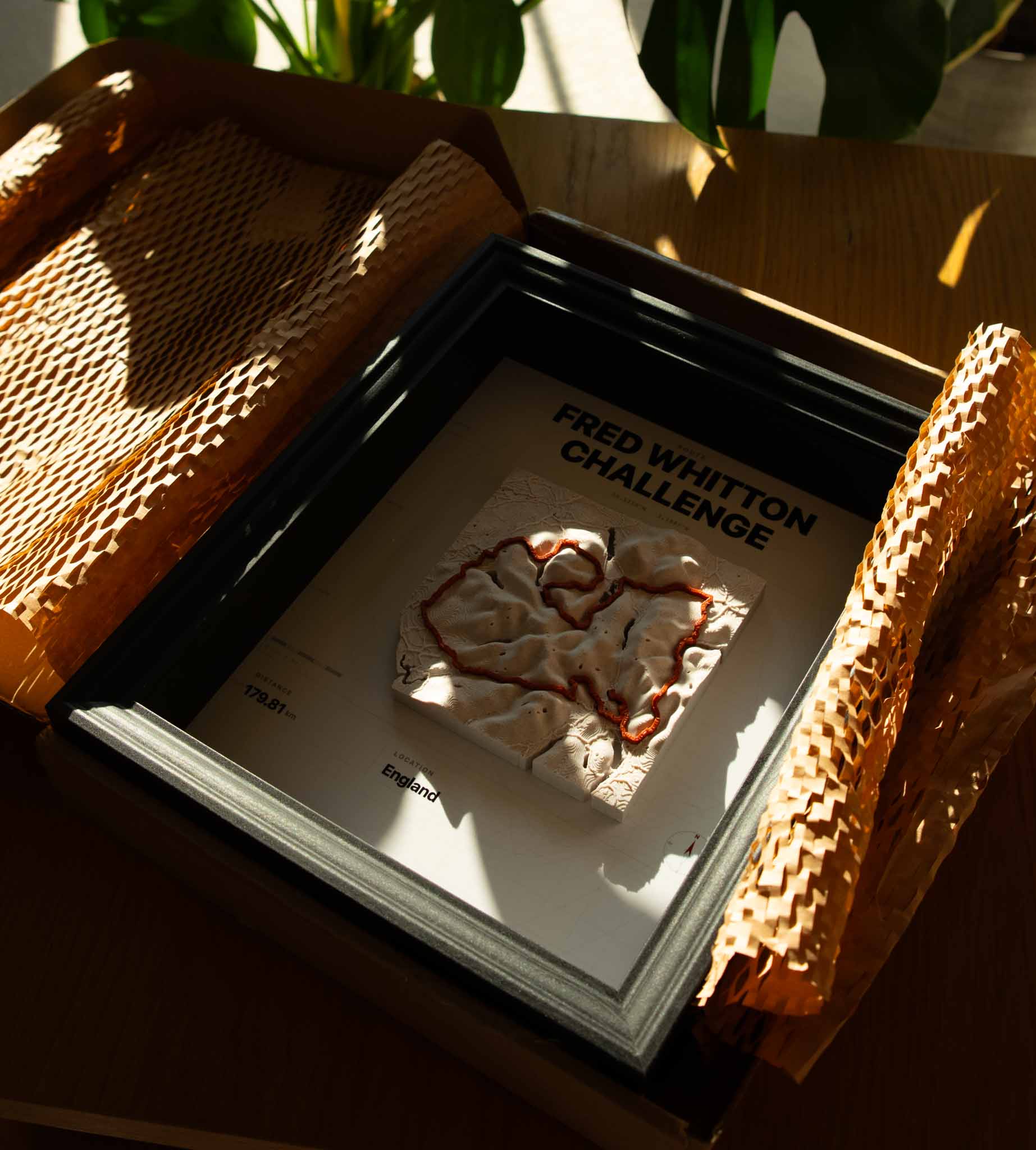 Finished 3D printed map